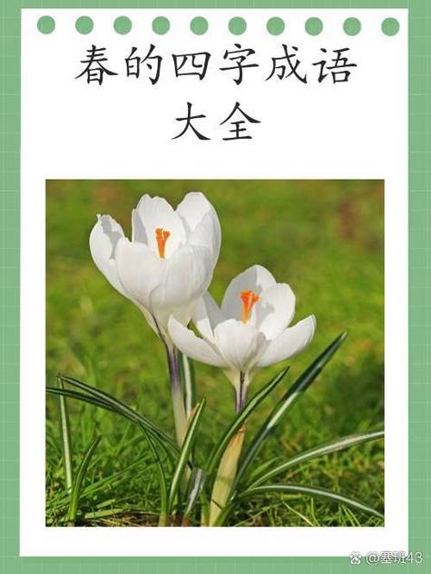 春的成语