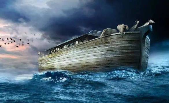 《诺亚方舟电影》截图