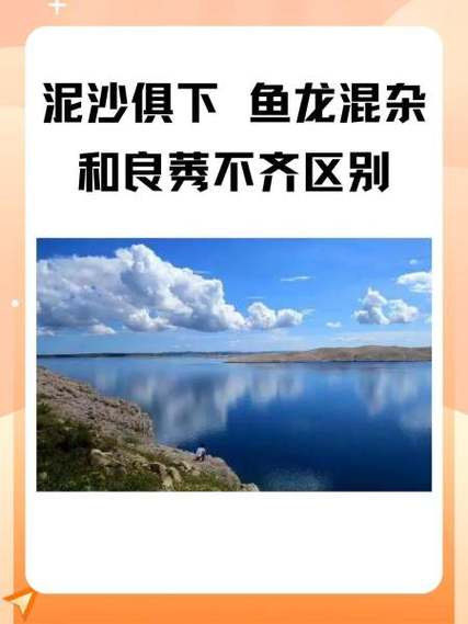 鱼龙混杂只能修饰人吗