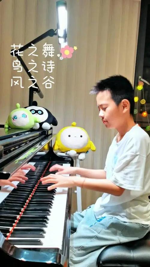 花之舞、鸟之诗、风之谷合奏