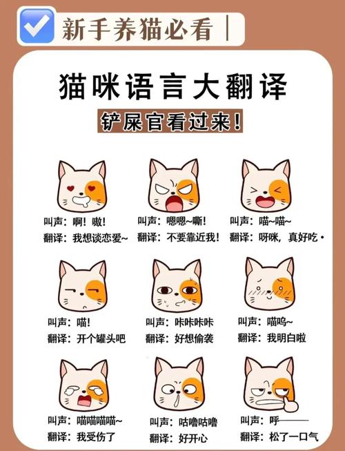 猫叫是因为什么原因
