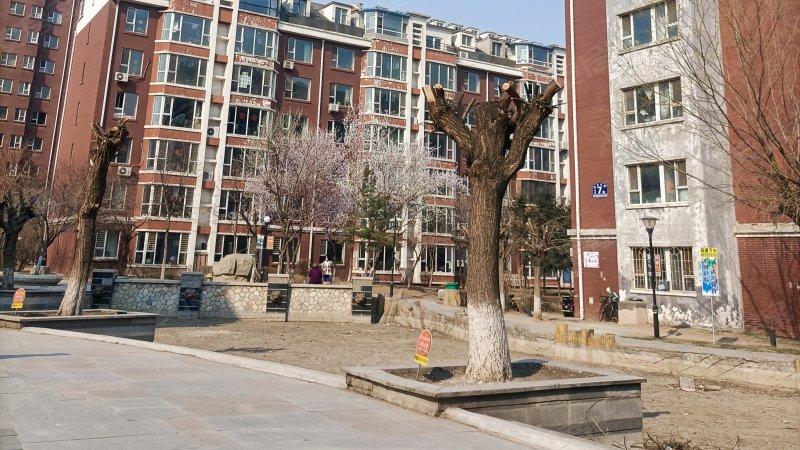 钻石礼都属于哪个社区