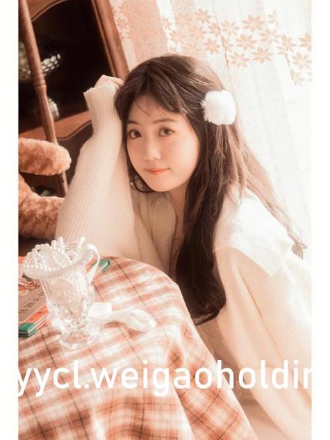 魔镜夫妇的挑战1-100集