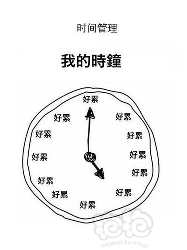 有没有早睡早起打卡的软件缩略图