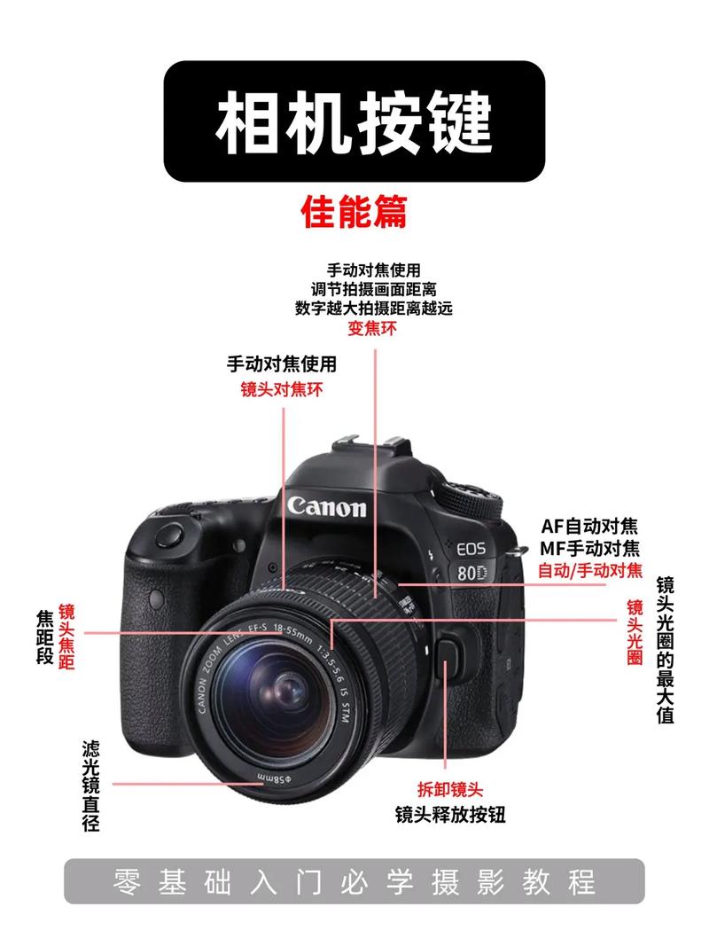 佳能相机旋转按钮使用说明游戏截图