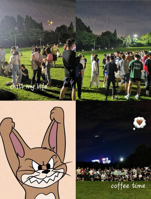 猫和老鼠河南方言版
