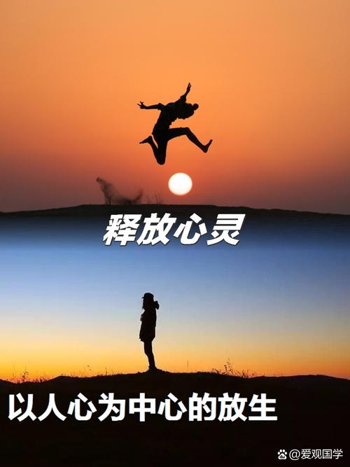 伴心app现在改名叫什么游戏截图