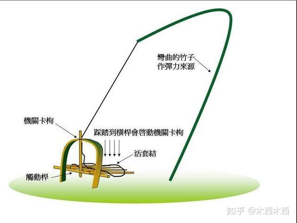 怎么通过钓鱼网站找出信息