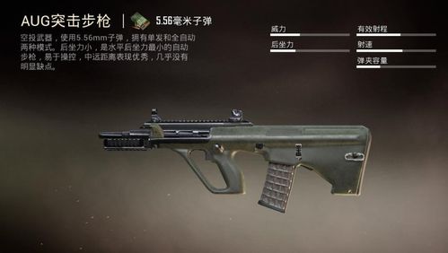 吃鸡5.56步枪