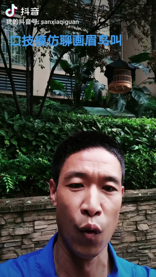 口逗画眉鸟技巧