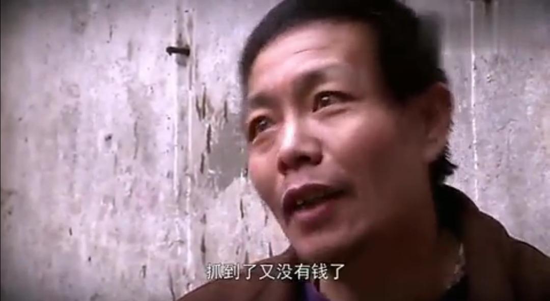 最后棒棒河南做网红了