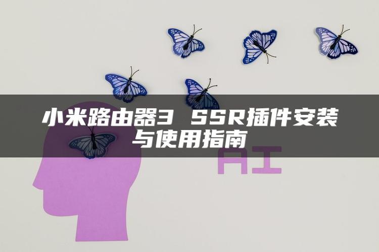 路由器ssr使用方法