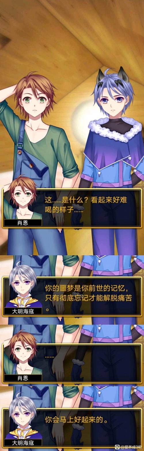 爱养成3男主暗与光攻略
