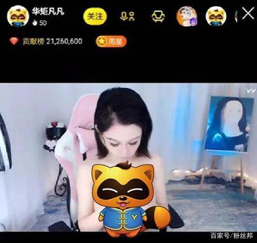 yy凡凡回放截图