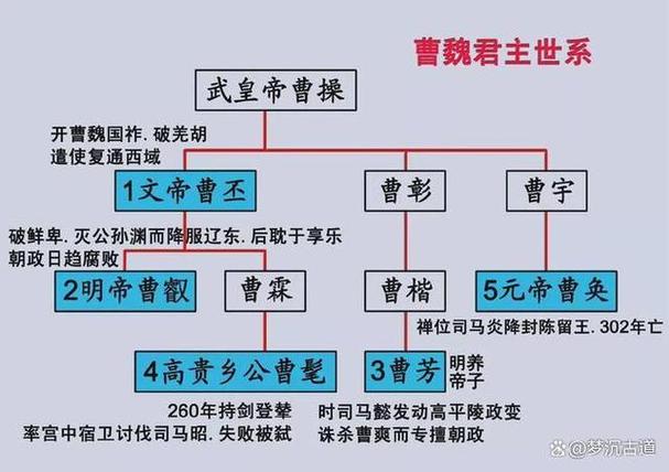 曹丕的母亲生了几个孩子截图