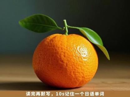 作者:橘子不爱吃的是みかん