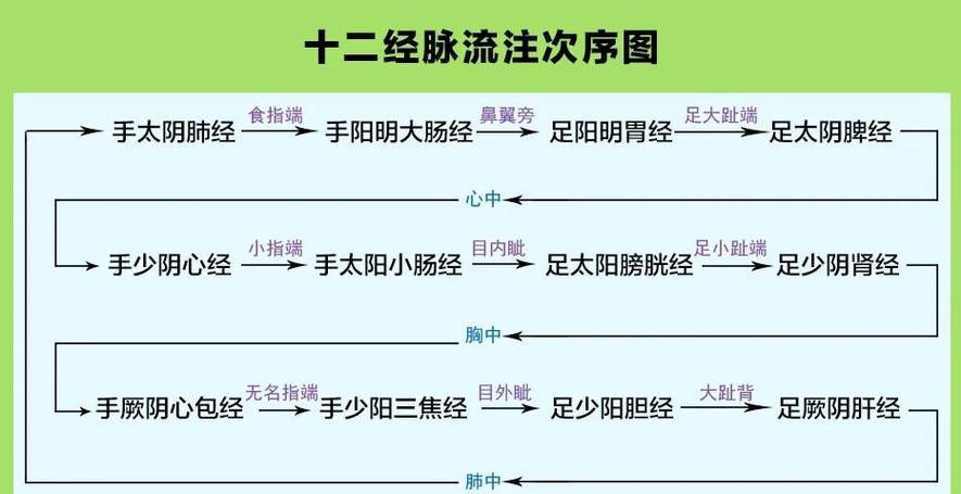 奇经八脉十二经络动画示意图解图标