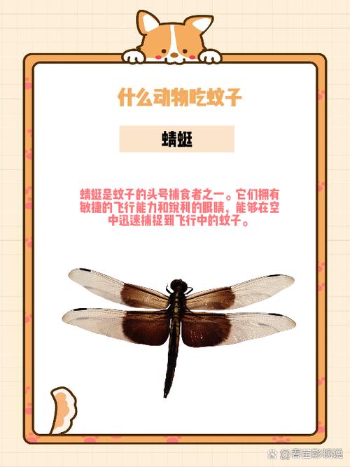 消除回音有什么技巧