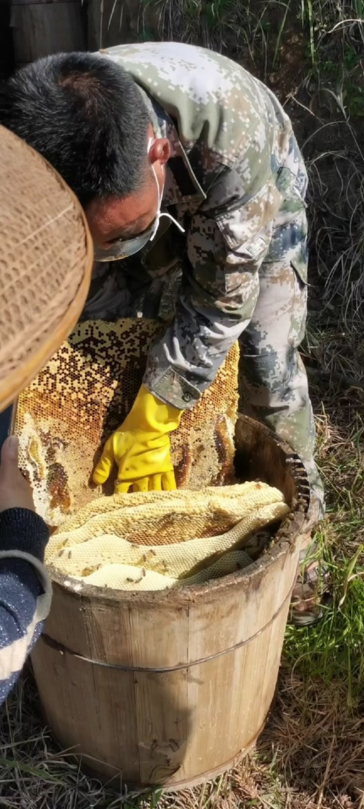 野生蜂蜜怎么取