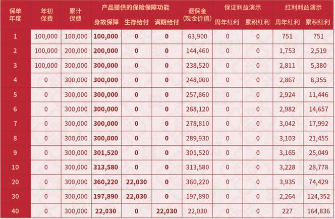 中国人寿保险分红型缩略图
