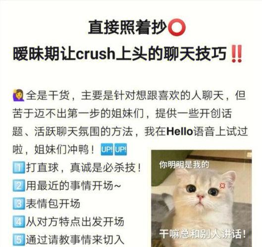 想追一个女孩怎么和她聊天