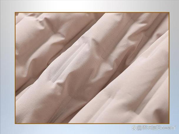 白色羽绒服染了黑色怎么去除