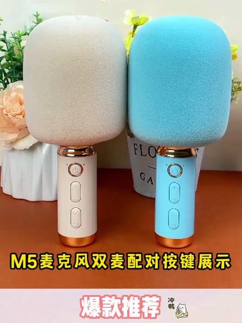 万能话筒怎么配对