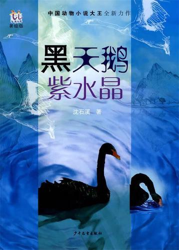 淘淘小说