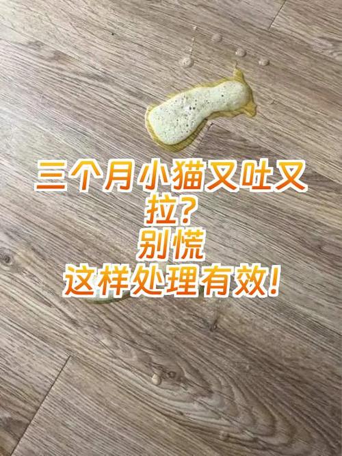 小猫又拉又吐游戏截图