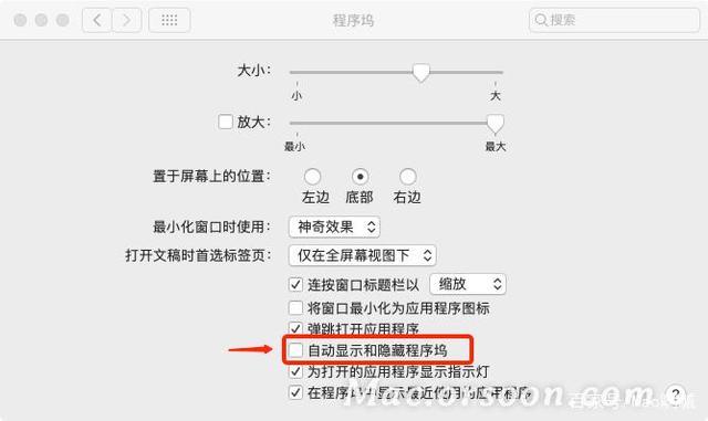 ipadpro如何隐藏程序坞