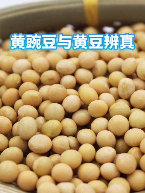 黄豌豆是黄豆吗