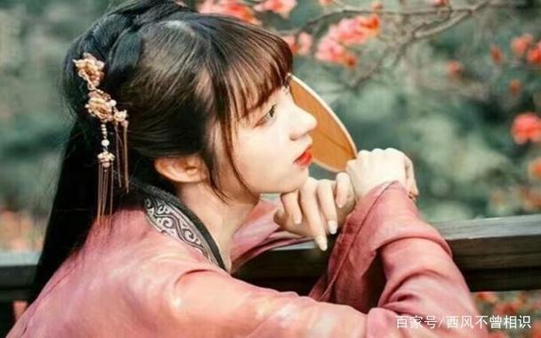 种马纳妾小说