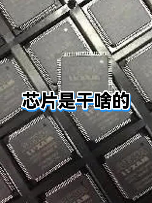 芯片是干什么用的