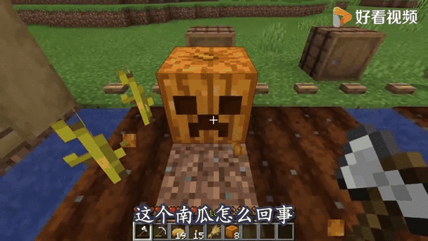MC怪掉南瓜种子吗