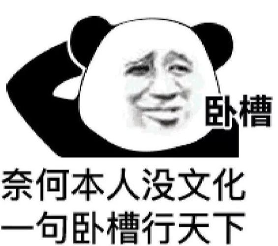 没文化只能说卧槽的梗