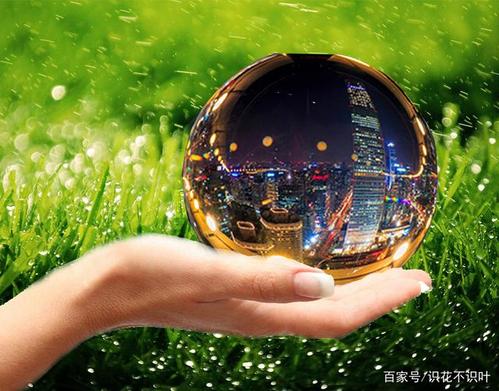 晨阳张晨图标