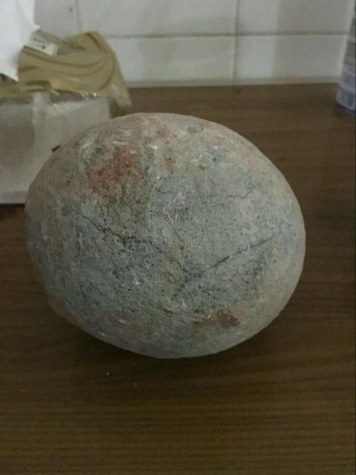 恐龙蛋可以私人收藏吗