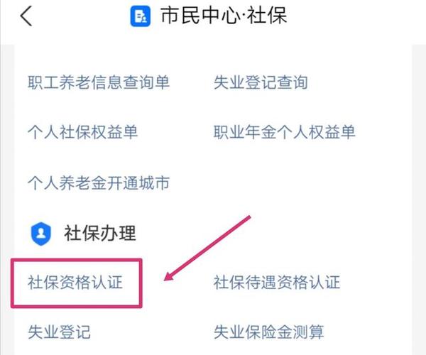 农村60岁老人网上认证