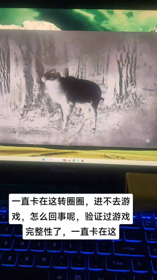 荒野大镖客2一进游戏就闪退