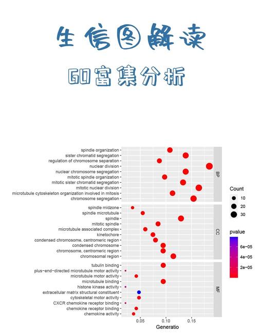 milo币值得长期持有吗