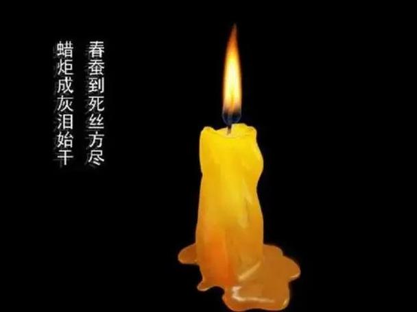 蜡烛的品质像什么人