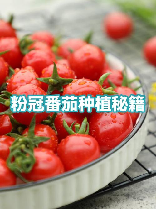 西红柿怎么吃淡斑