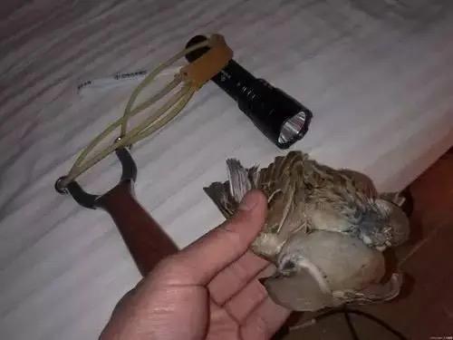 弹弓起源于哪个国家缩略图
