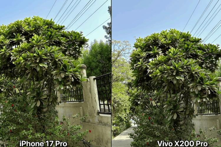vivo手机拍的照片存在哪里