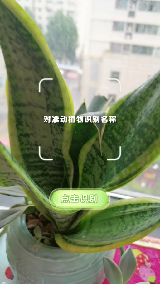 中草药识别扫一扫游戏截图