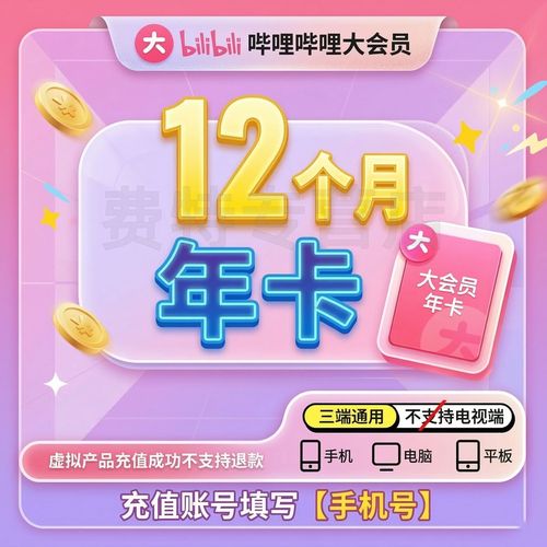 bilibili年度大会员