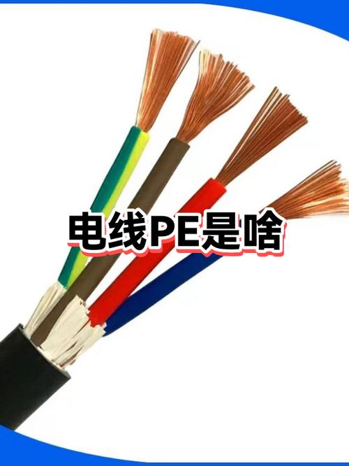 PE缩写代表什么