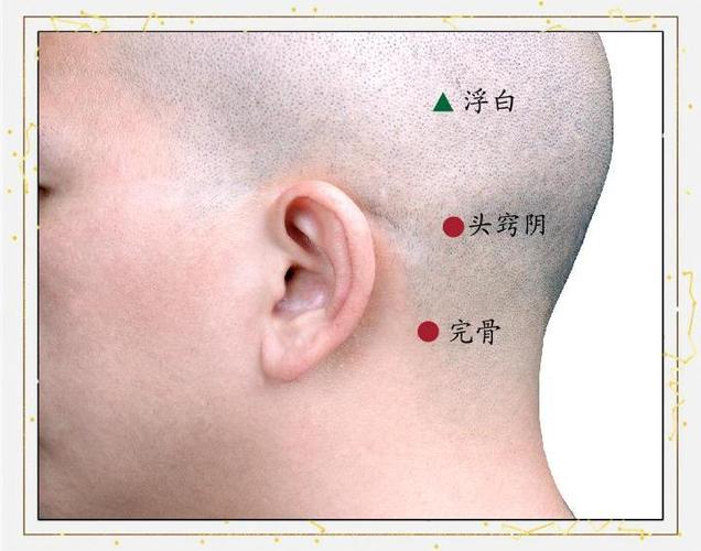 完骨准确位置图视频