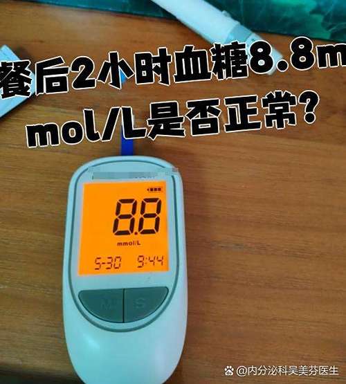 8.8血糖属于几级