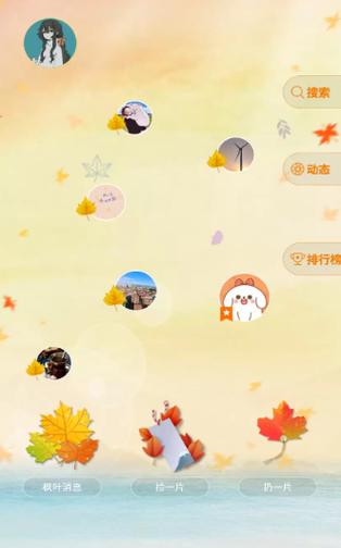 枫叶上传软件